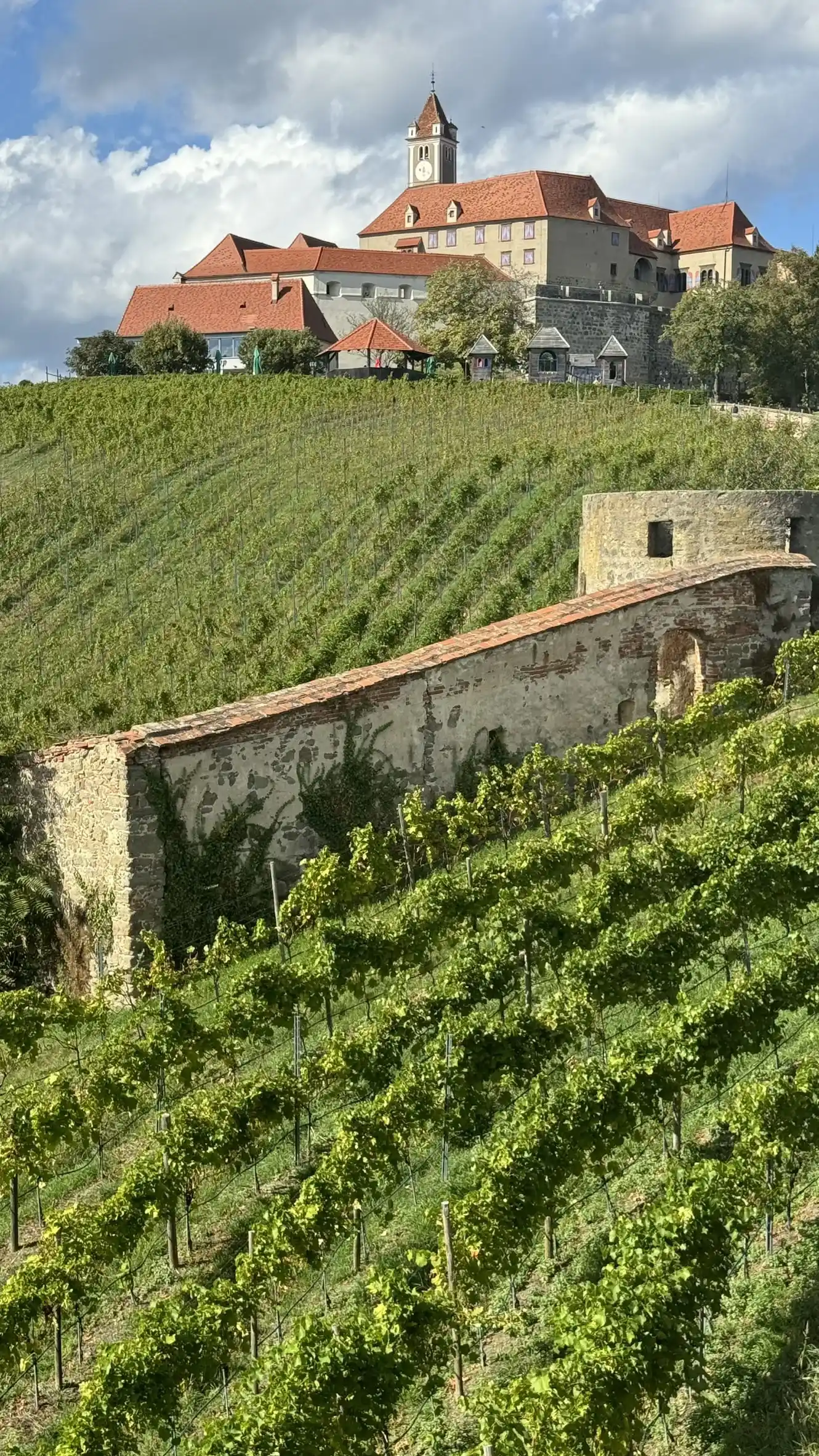 Weinbau auf der Riegersburg