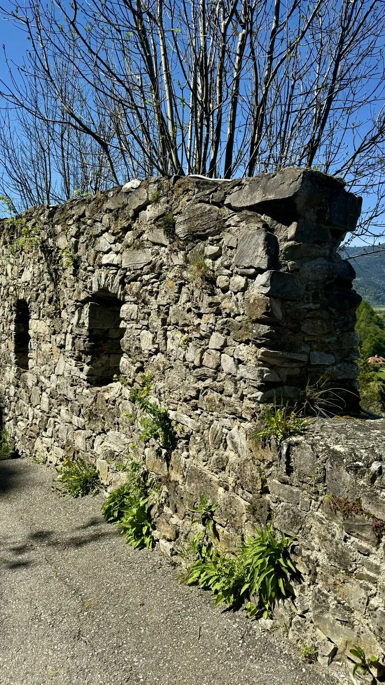 Ruins of Petersberg Castle | Outer Defence Wall